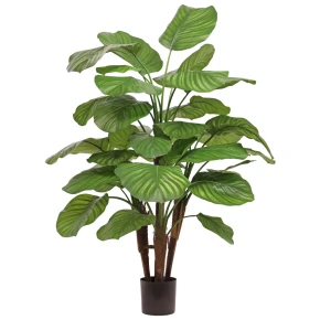 Calatea fasciata kunstplant
