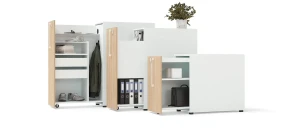 Kast boxy