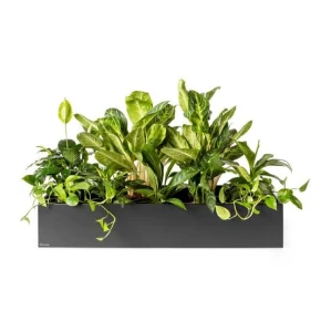 Plantenbak urban nature