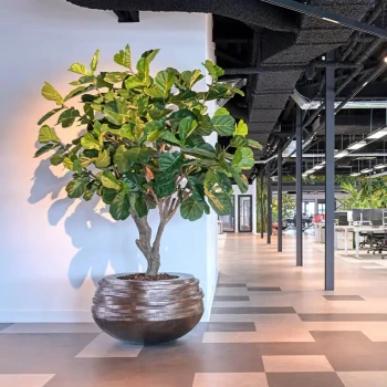 Kunstplanten van Demasko