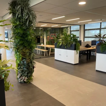 Kunstplanten van Demasko
