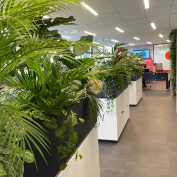 Kunstplanten van Demasko