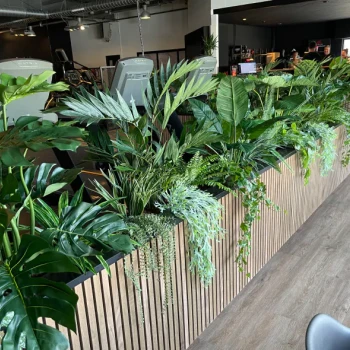 Kunstplanten van Demasko