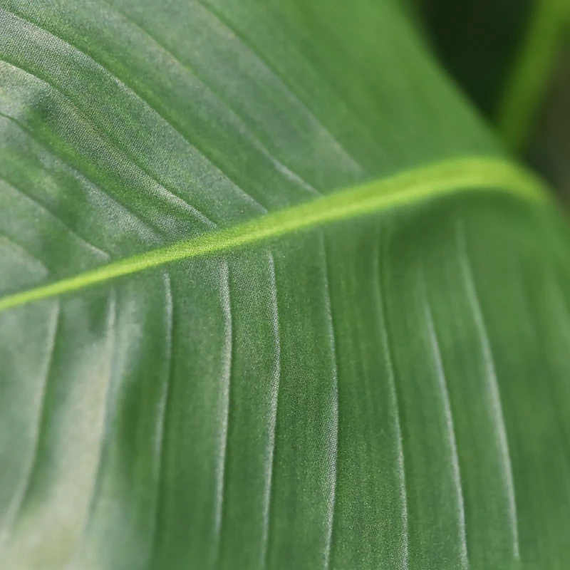 Strelitzia nicolai kunstplant