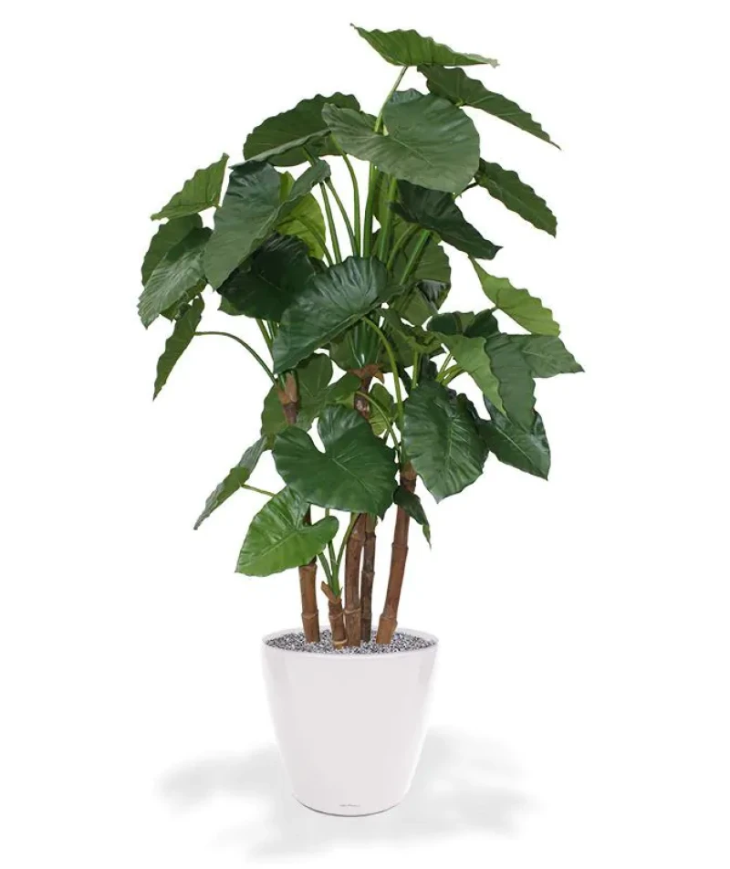 Alocasia kunstplant