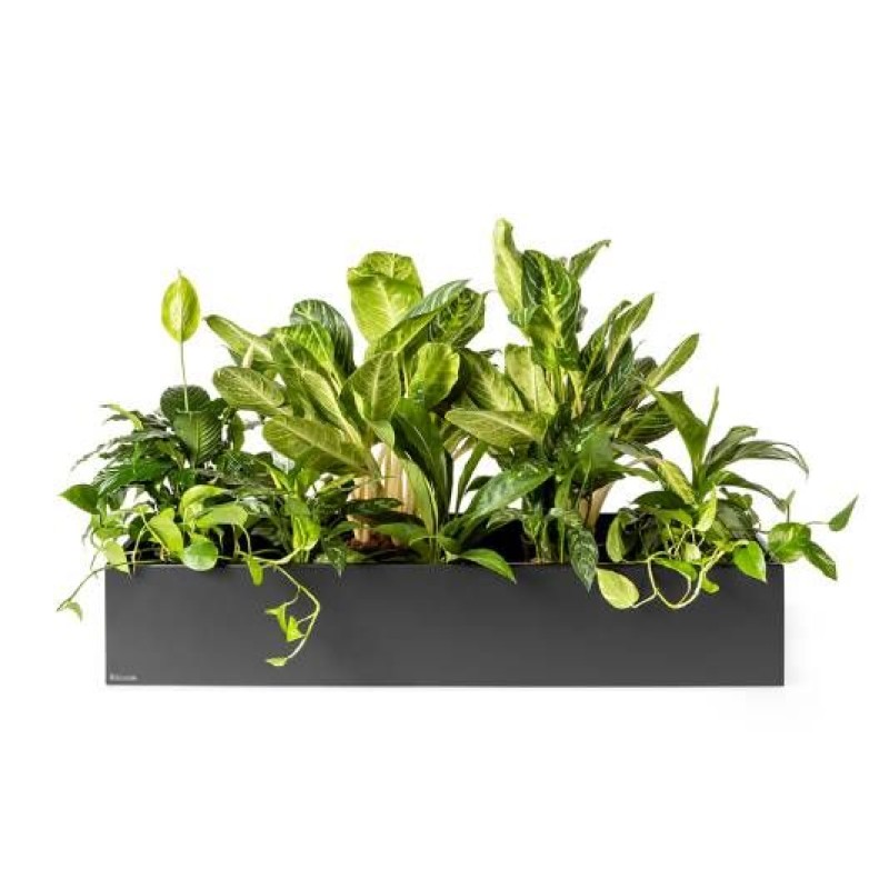 Plantenbak urban nature