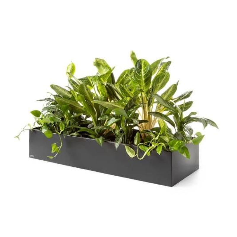Plantenbak urban nature
