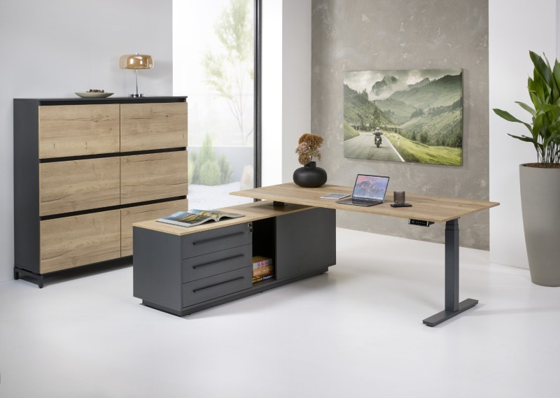 Zit-sta bureau Director