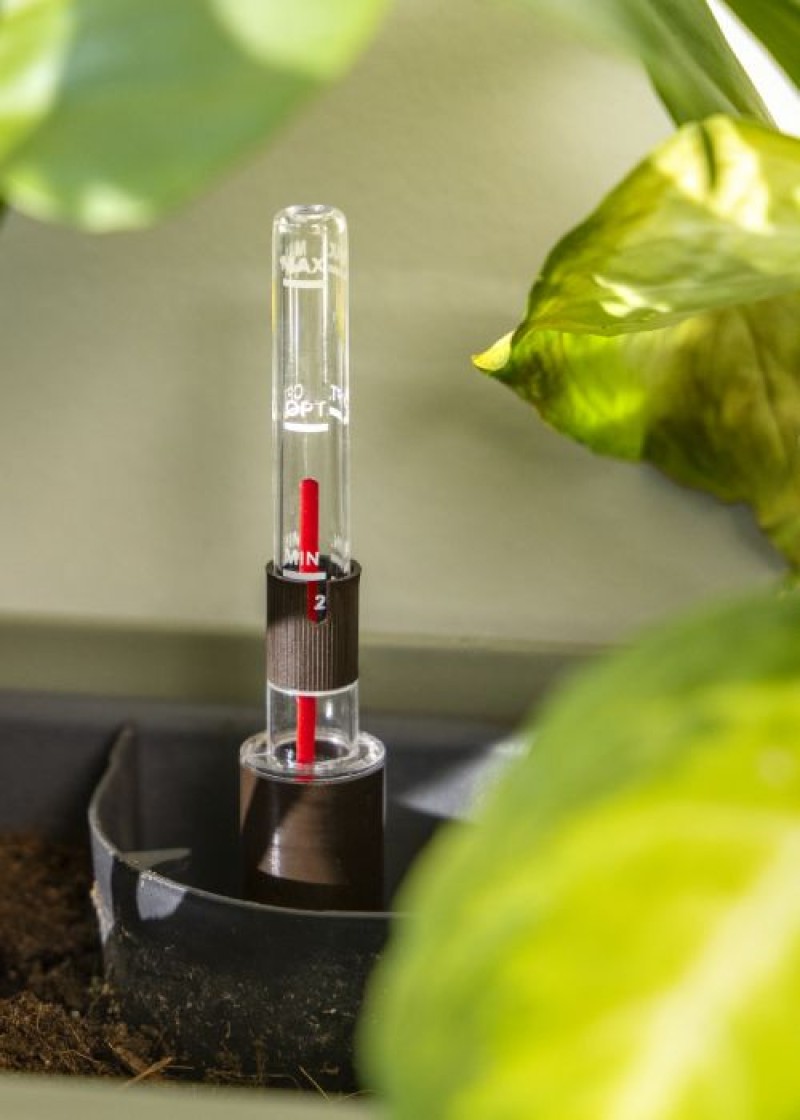 Plantenbak bloembox