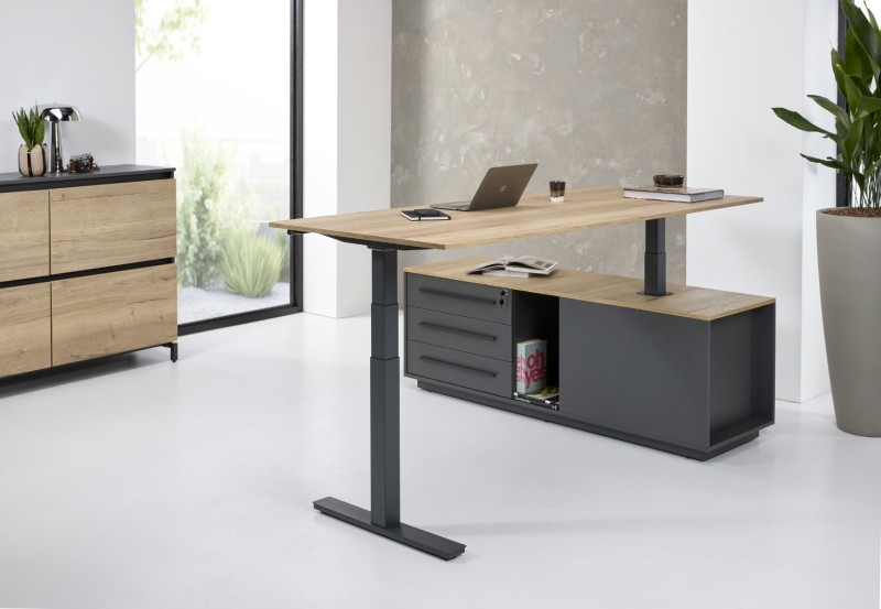Zit-sta bureau Director