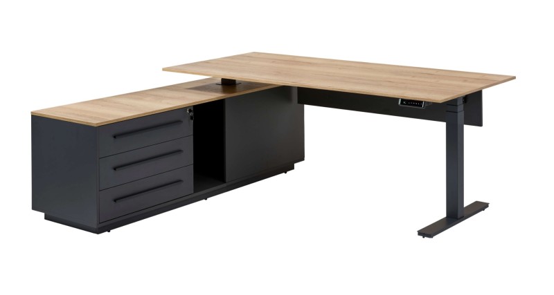 Zit-sta bureau Director